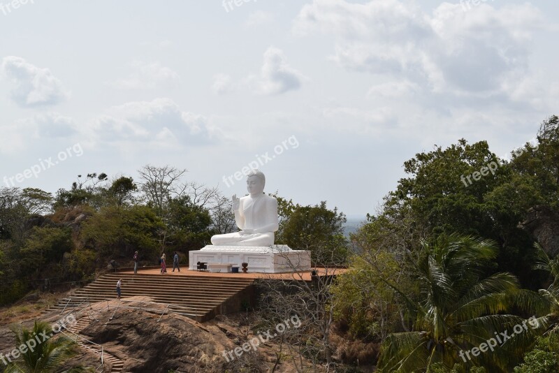 Buddha Forest Asia Srilanka Nature