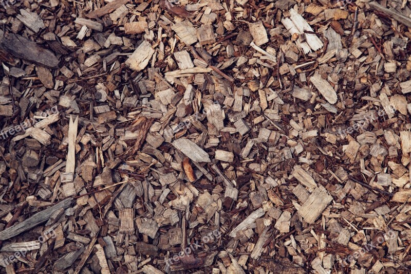 Wood Chips Sawdust Brown Forest