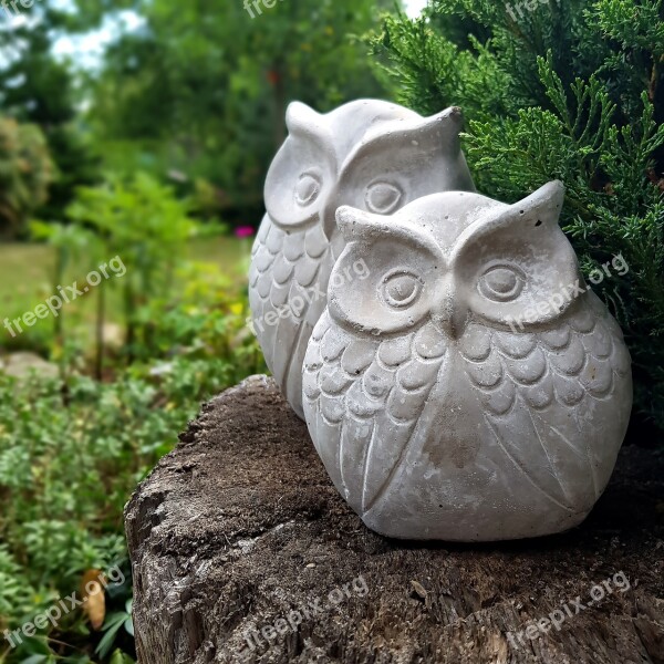 Decoration Owls Owl Bird Decorative