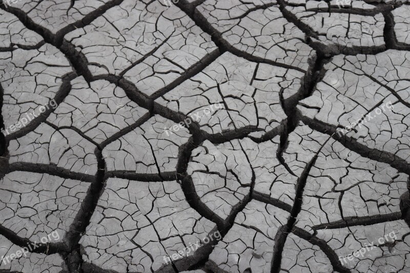 Mud Dried Mud Mud Flats Cracked Mud Ground