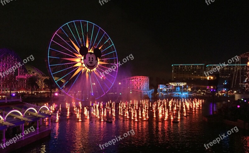 California Adventure Disneyland Light Show Nighttime Colorful