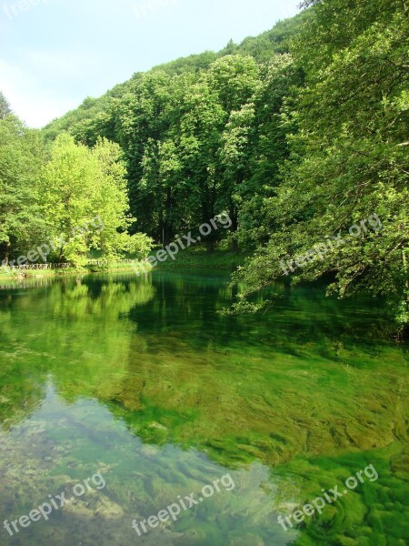 Water Lake Nature Pure Green