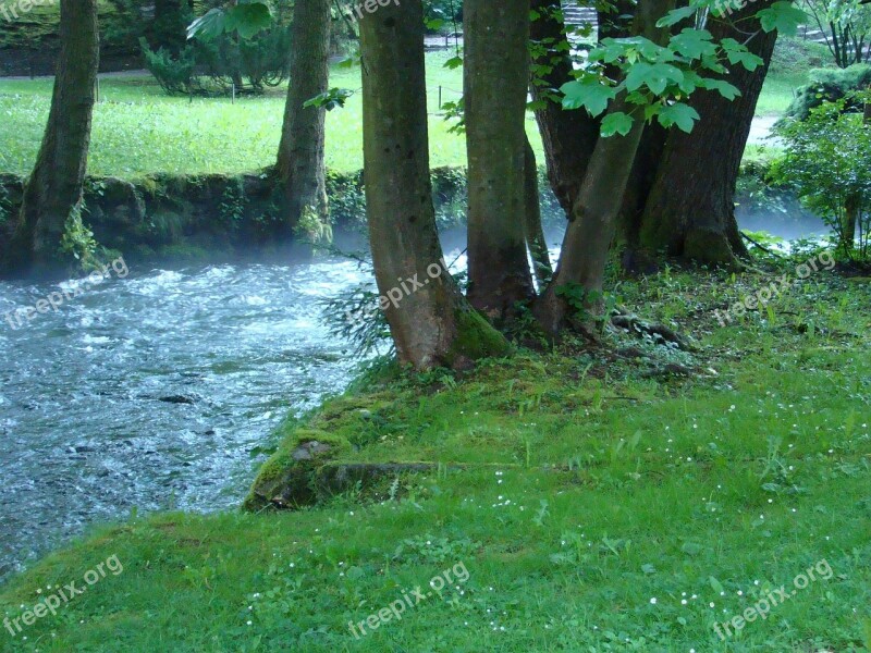 Spring Stream Creek Brook Nature