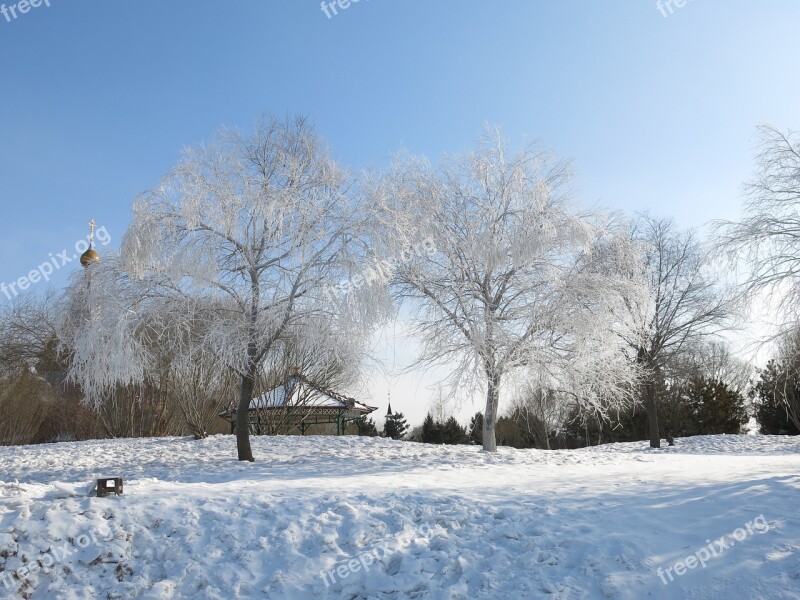 Snow And Ice Hanging Tree Blue Sky Free Photos