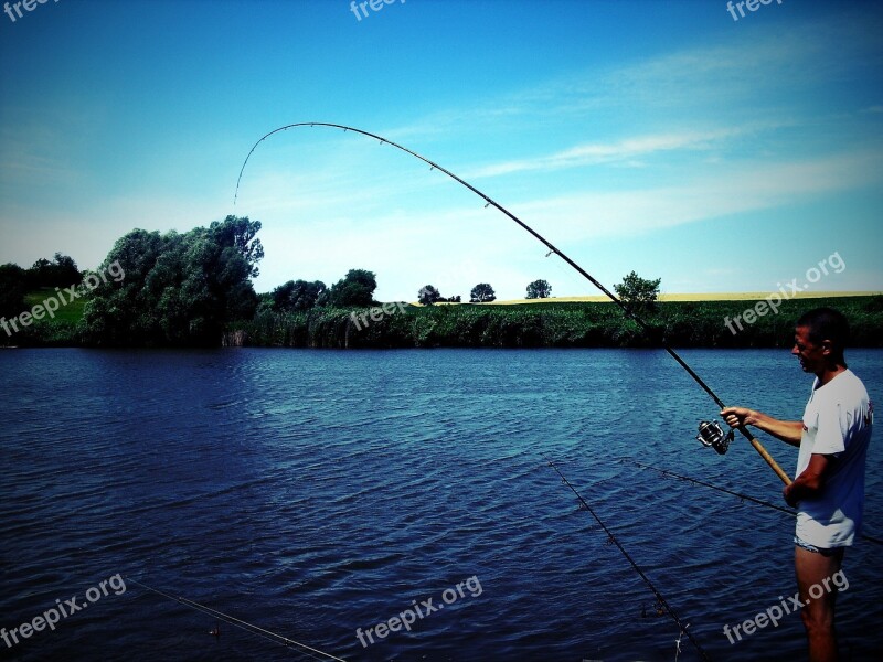 Fishing Lake Carp Free Photos