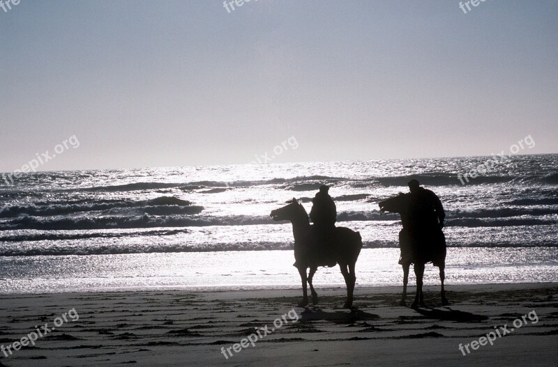 Horses Beach Sunset Riders Silhouettes