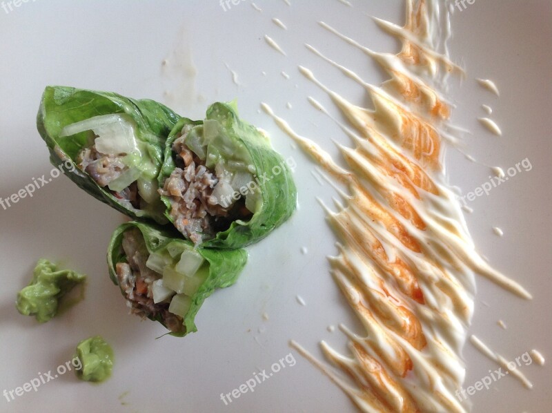 Chef Salad Wrap Free Photos