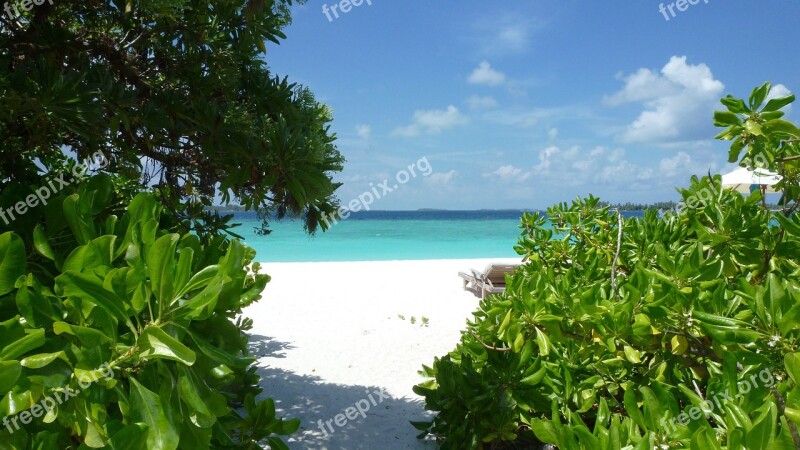 Maldives Laamu Six Senses Paradise Beach Free Photos