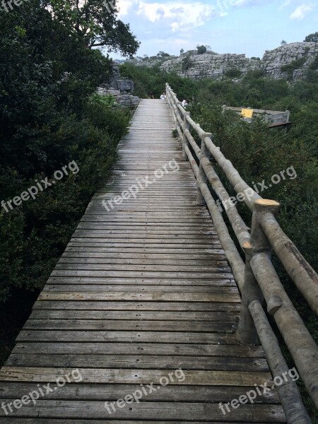 The Scenery Woods Lane Mushroom Hill Free Photos