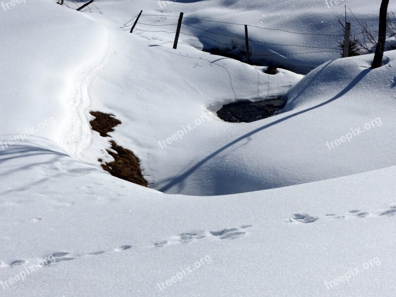 Snow Grips Shadow Snowed In White Wintry