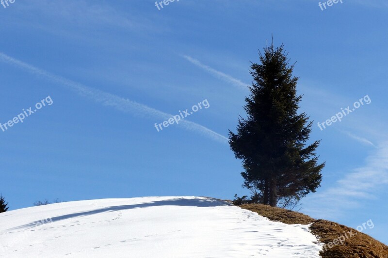 Spruce Hill Snow Reste Late Winter Azure