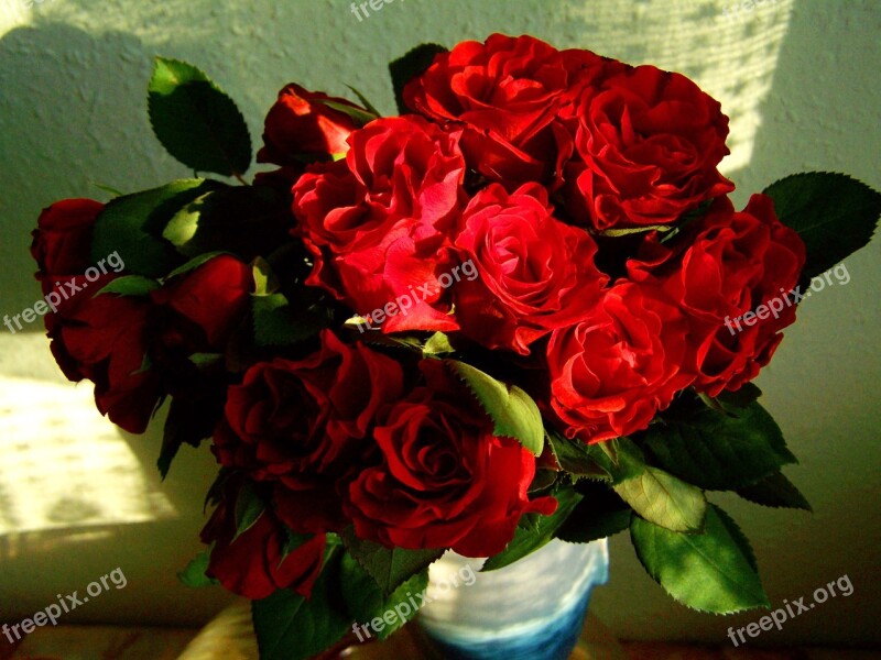 Red Rose Bouquet Flower Women's Day Free Photos