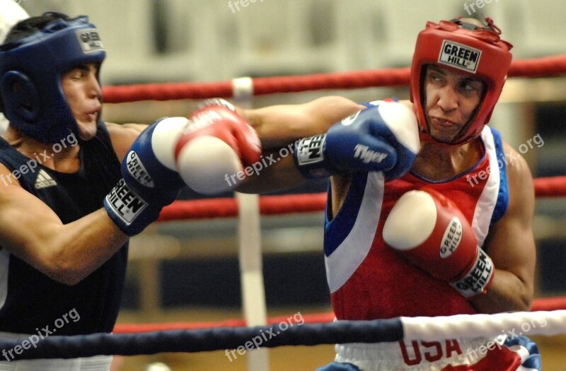 Boxers Males Boxing Sport Fitness