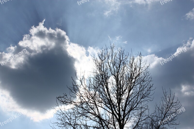 Nature Branches Clearances Clouds Free Photos