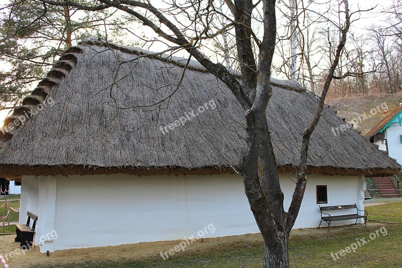 House Thatched Roof Straw Roof Straw Free Photos