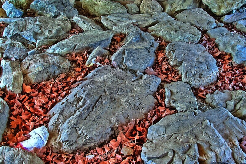 Rock Stones Leaves Hdr Image Free Photos