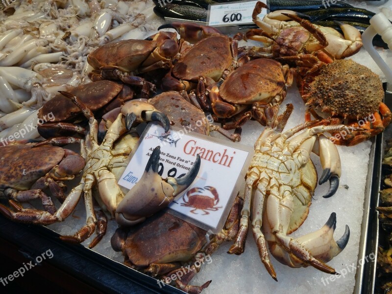 Crustaceans Crabs Fish Market Market Sea Animals