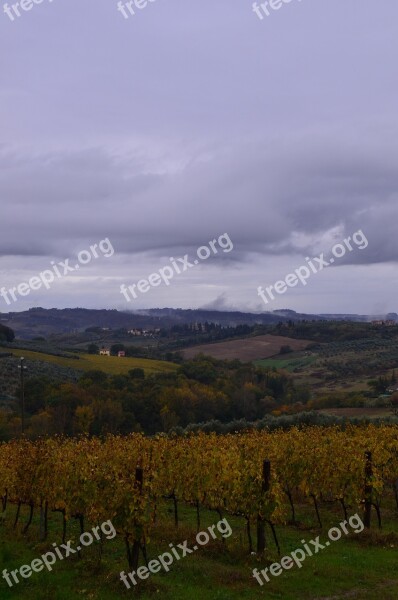 Fields Hills Italy Grapes Vineyard