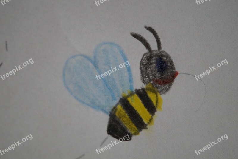 Bee Flying Insect Animal Children Drawing