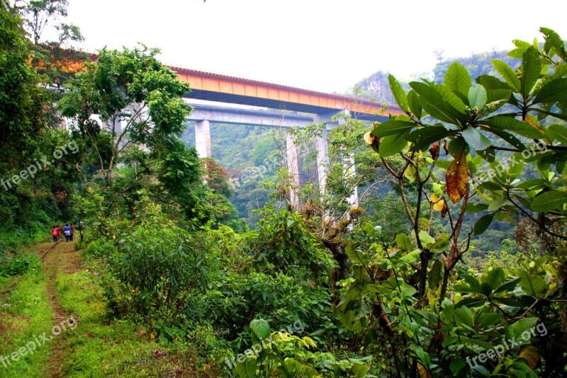 Metlac Bridge Flora Fortin Veracruz