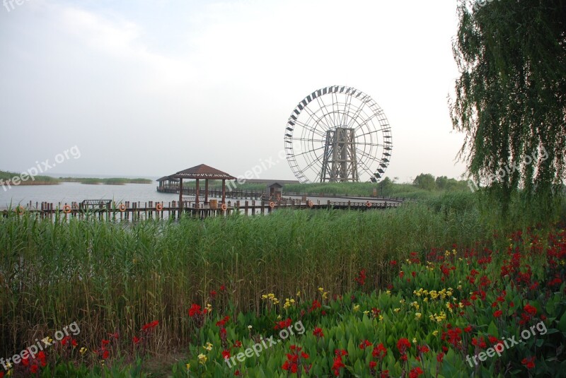 Windmill Lake Reed Free Photos