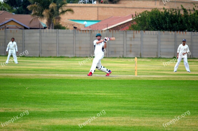 Cricket Shot Sport Competition Batsman