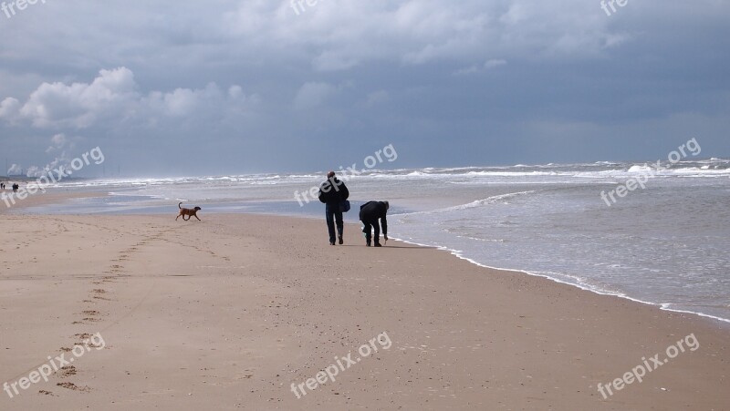 North Sea Sea Waves Beach Horizon