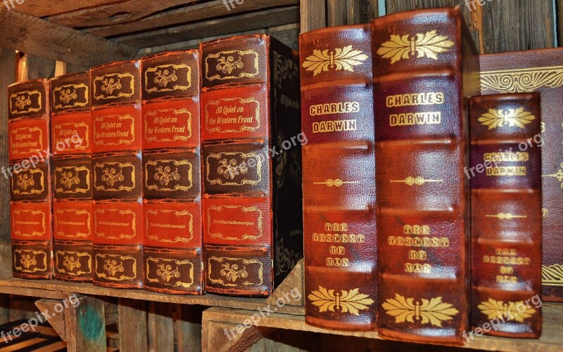 Books Antiquariat Leather Covers Old Box