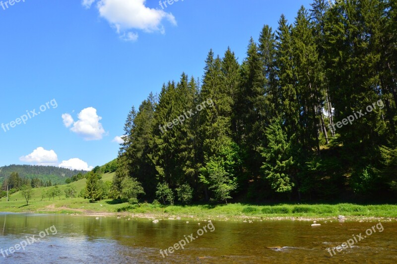 Nature River Forest Sky Water