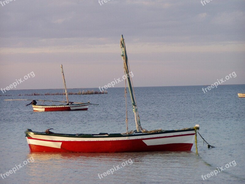 Boat Sea Horizon Sailboats Beach