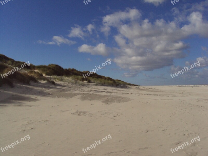 Beach Salt Marsh Ameland Free Photos