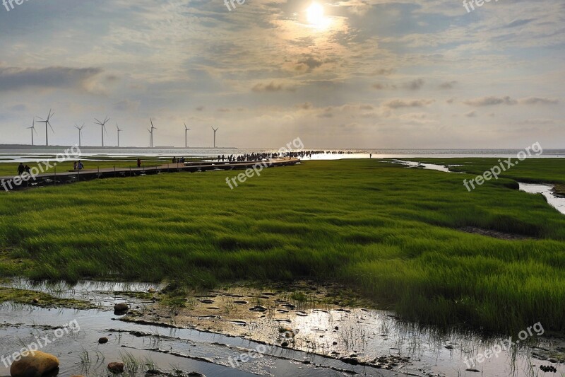 Taiwan Scenic Views Green The Evening Sun Sea