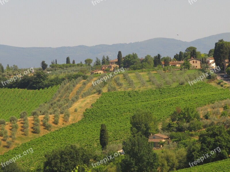 Tuscany Agriculture Hill Olives Free Photos