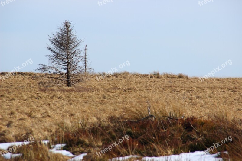 Landscape Venn Belgium Moor Nature