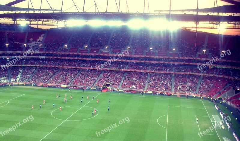 Stadium Football Benfica Player Portugal