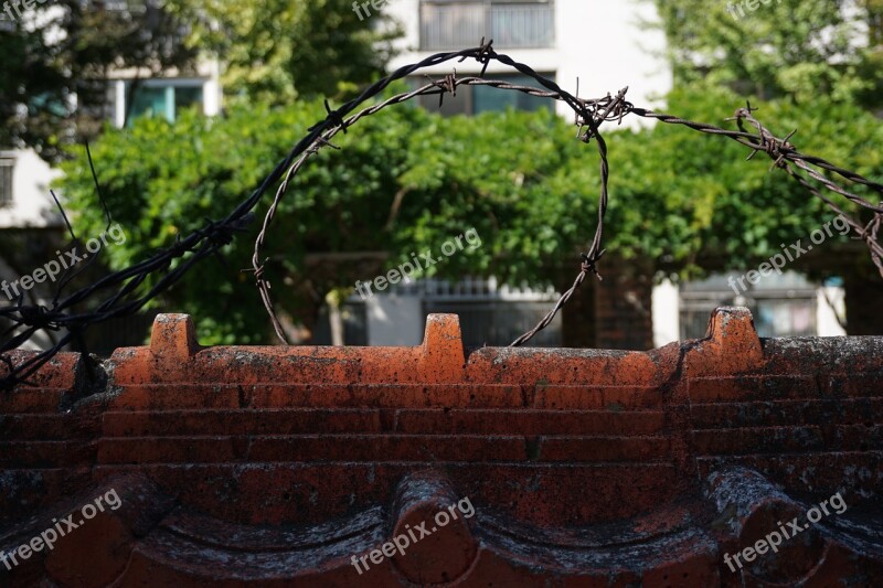 Barbed Wire Damme Wall The Division Of The Boundary