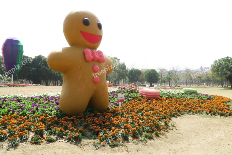 Tainan's Flowers Offering Ginger 餅 People Duckweed Farm Park Free Photos