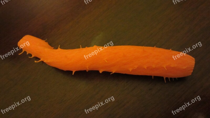 Carrot Vegetable Orange Free Photos