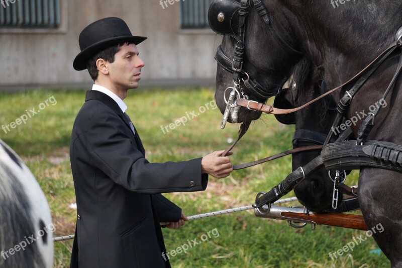 Bowler Man Coachman Horse Carrozza