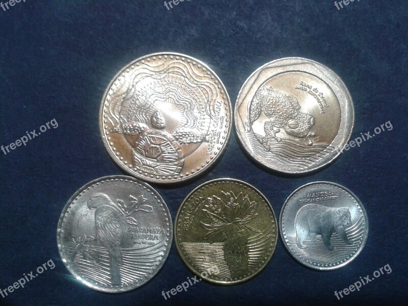 Coins Colombia Money Free Photos