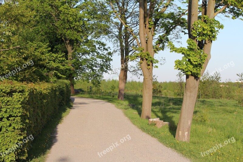 Summer Cozy Small Road Out In The Country Free Photos