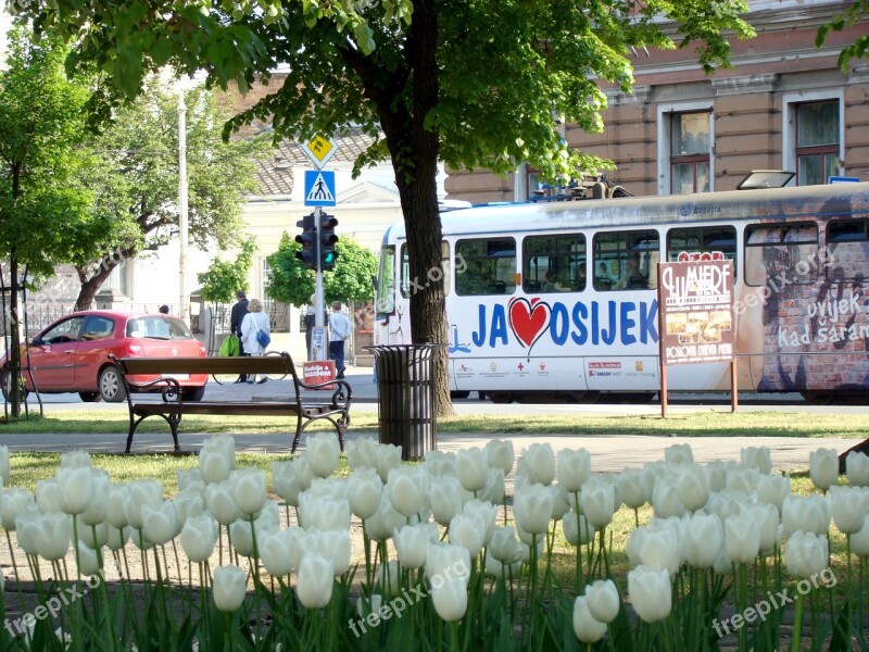 Osijek Croatia Tram City Street