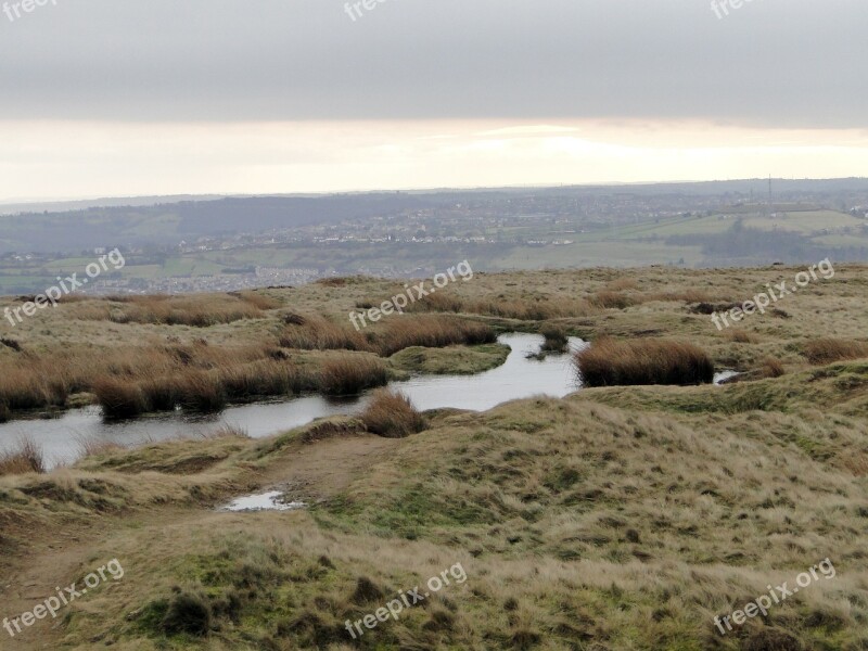 Moor Swampy Water Nature Reserve Nature