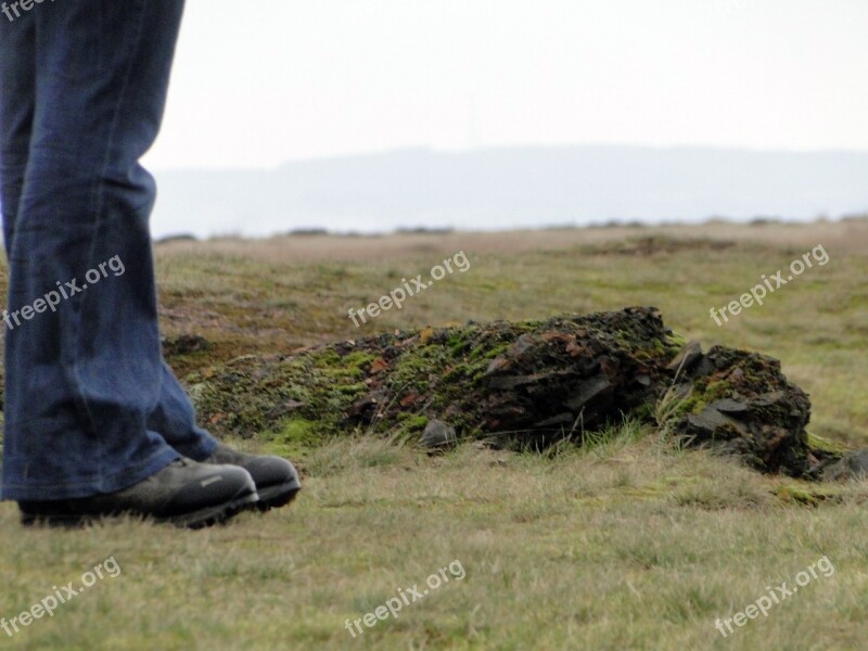 Hike Moor England Nature Swampy