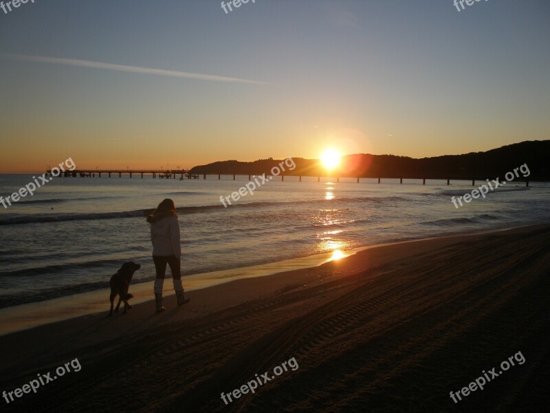 Sunrise Baltic Sea Sea Walk Dog