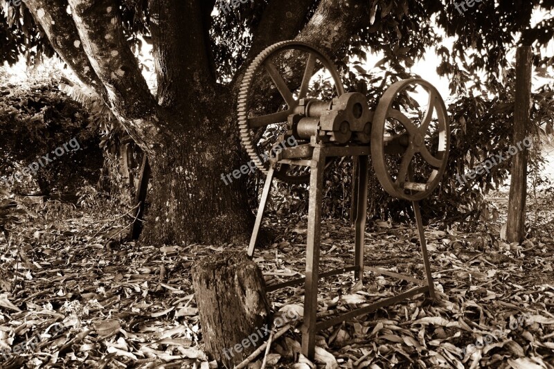 Ingenuity Site Farm Chacara Farmer