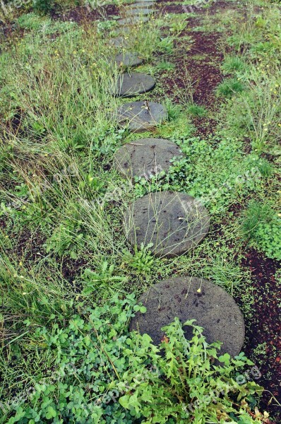 Outdoor Garden Pathway Stepping Stones Concrete Cement Round