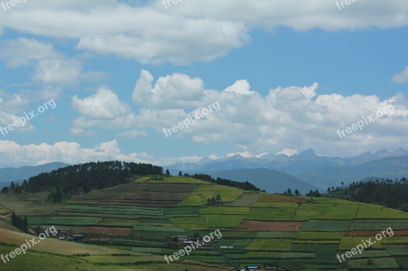 Terrace Green Field Nature Landscape