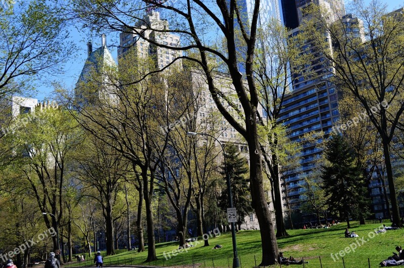 Central Park Newyork Green Holidays Ride