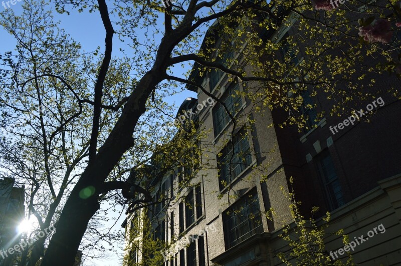 Newyork City Neighborhood Building Construction